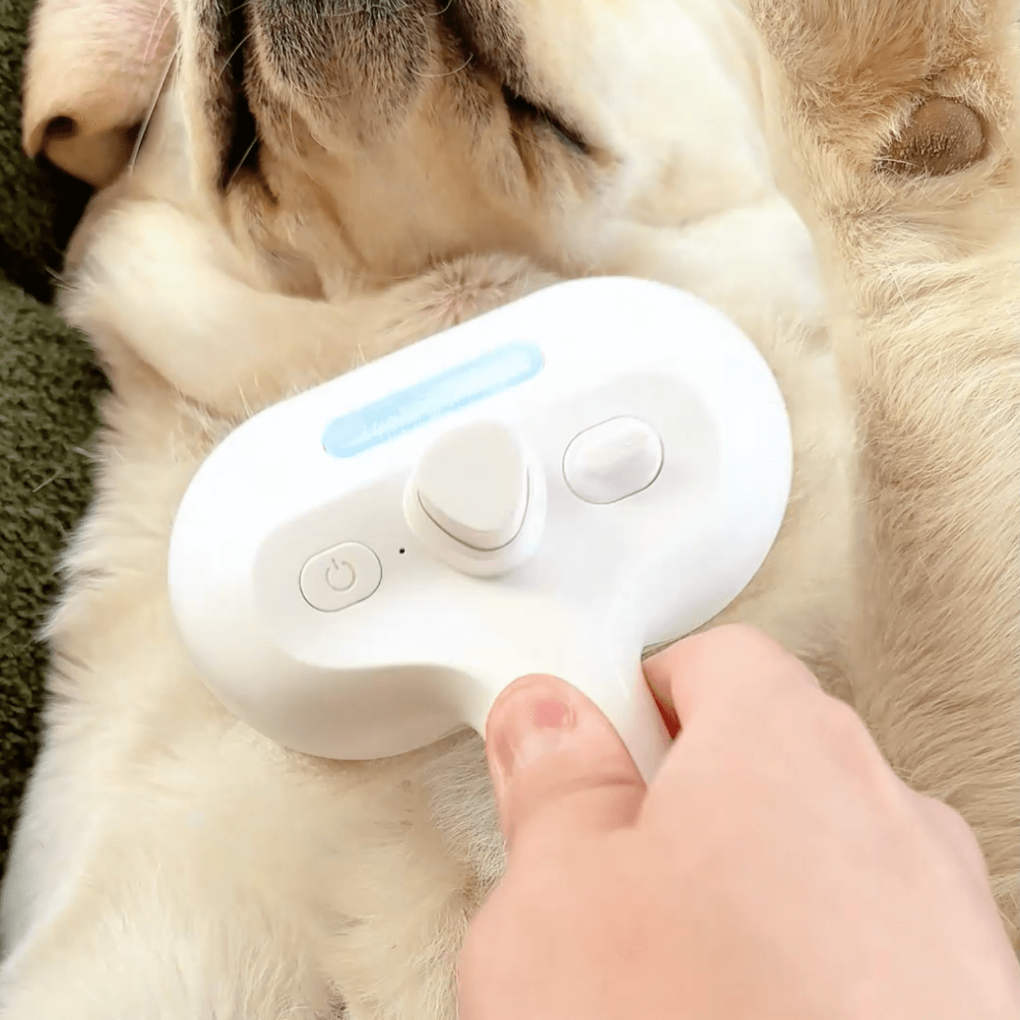 Brosse à vapeur BrushPaw pour chiens