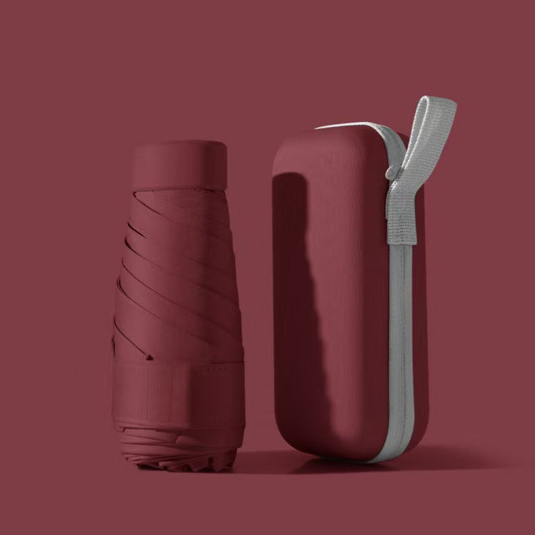 Parapluie de Voyage Compact et Étui