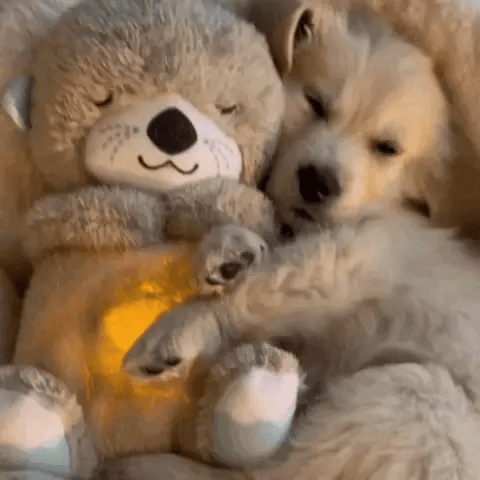 Jouet Câlin Apaisant