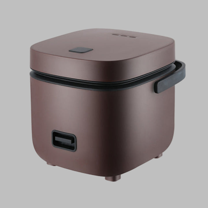Mini Cuiseur de Riz et Cuiseur Vapeur