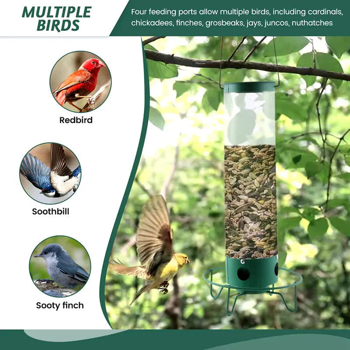 Nourrisseur d'oiseaux résistant aux écureuils