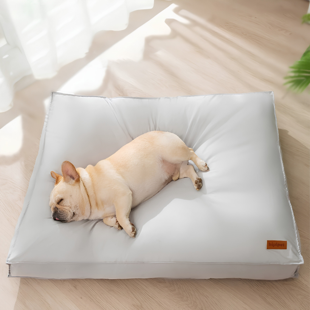Coussin Chien Orthopédique Imperméable