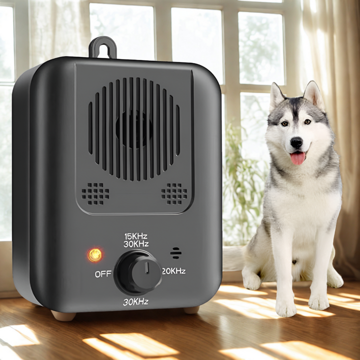 Dispositif antiboiement ultrasonique pour chiens