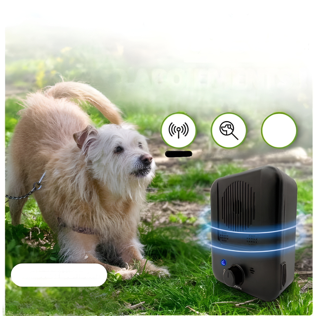 Dispositif antiboiement ultrasonique pour chiens