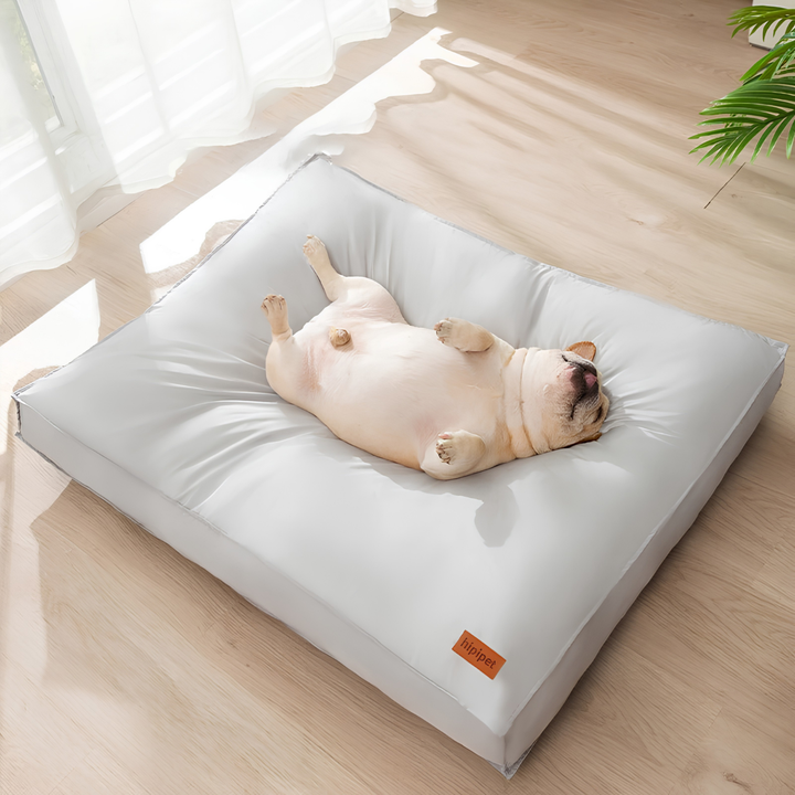 Coussin Chien Orthopédique Imperméable