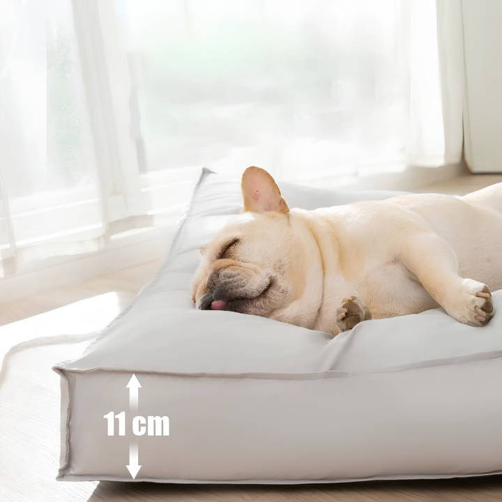 Coussin Chien Orthopédique Imperméable