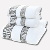 Ensemble de serviettes en coton Casa Luxe Athena (2 pièces)