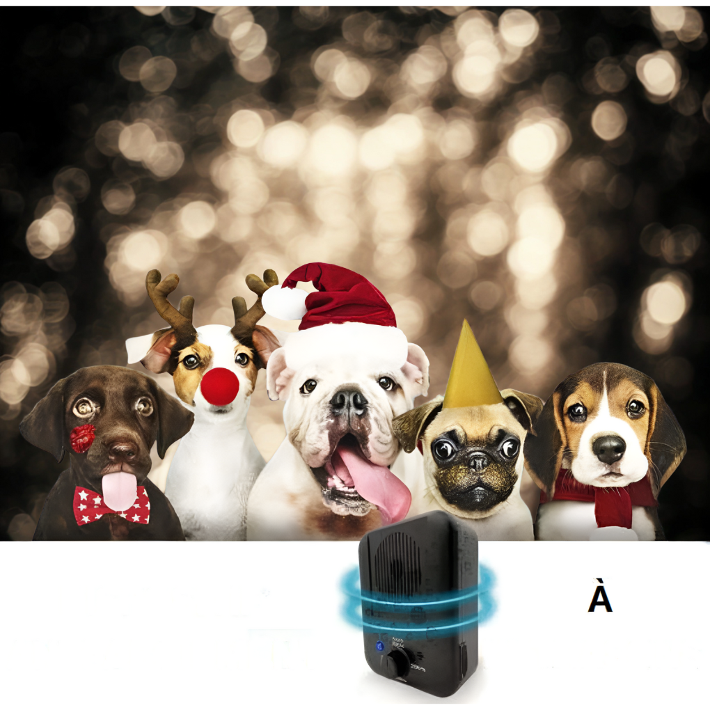 Dispositif antiboiement ultrasonique pour chiens