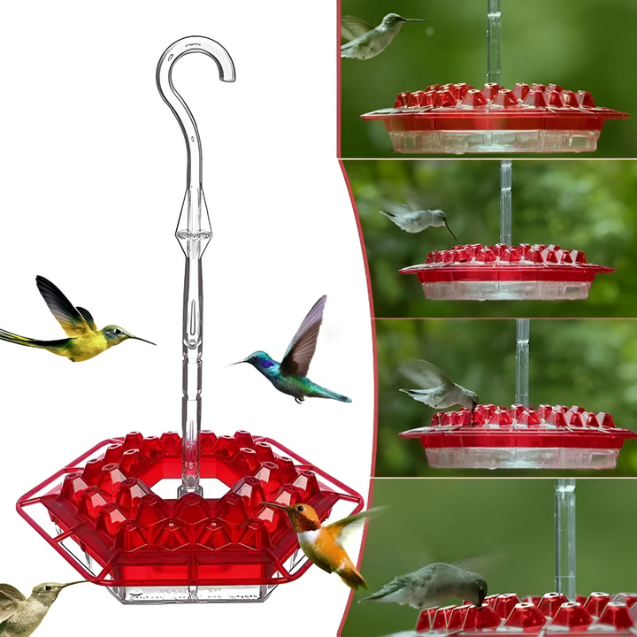 Alimentation Colibri Anti-fourmis