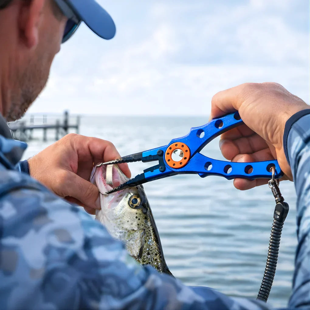 Prise de Poisson et Pliers