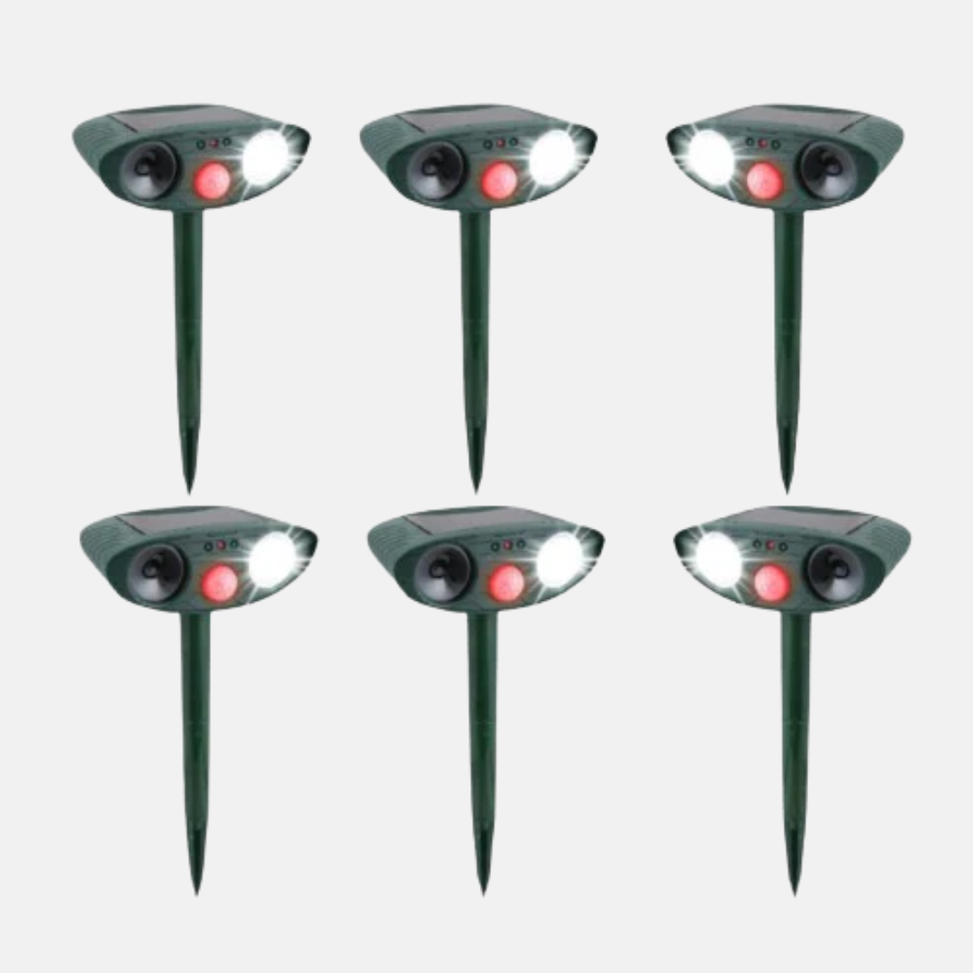 Repulsif Sciuridé Ultrasonique et Solaire