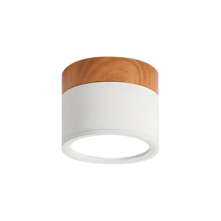 LumiStyle - Éclairage Plafonnier Cylindrique LED pour Couloir Modern