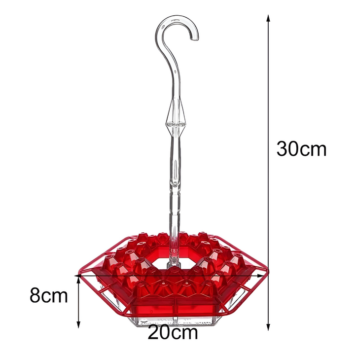 Alimentation Colibri Anti-fourmis
