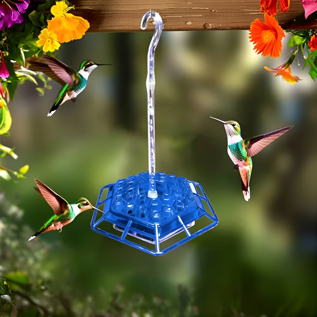 Alimentation Colibri Anti-fourmis
