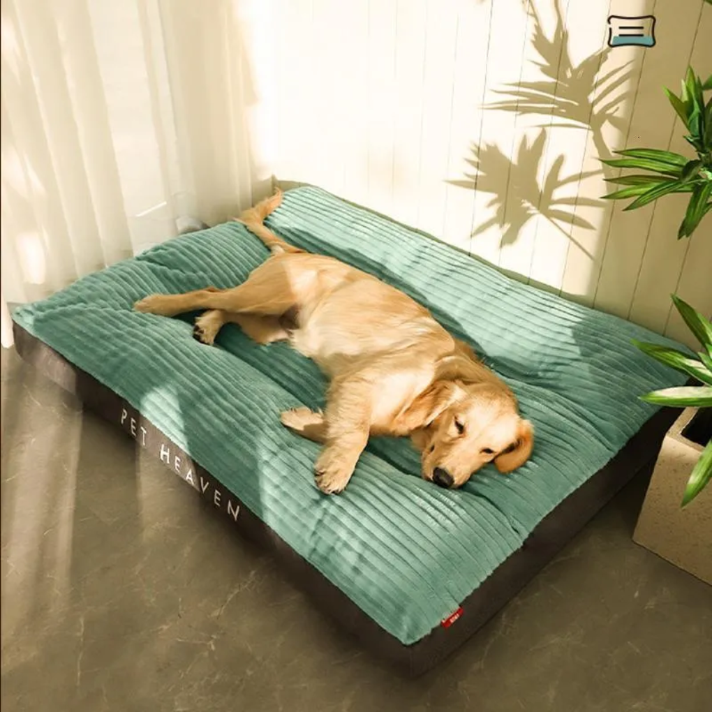 Coussin pour chien pour le repos et la détente