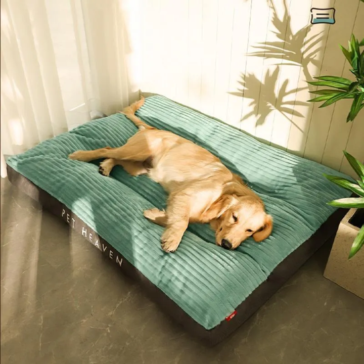 Coussin pour chien pour le repos et la détente