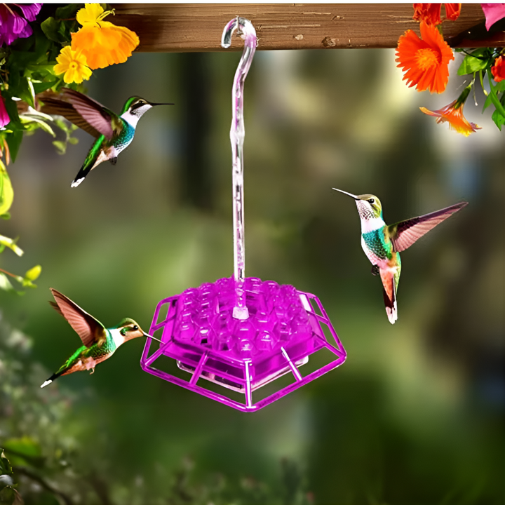 Alimentation Colibri Anti-fourmis