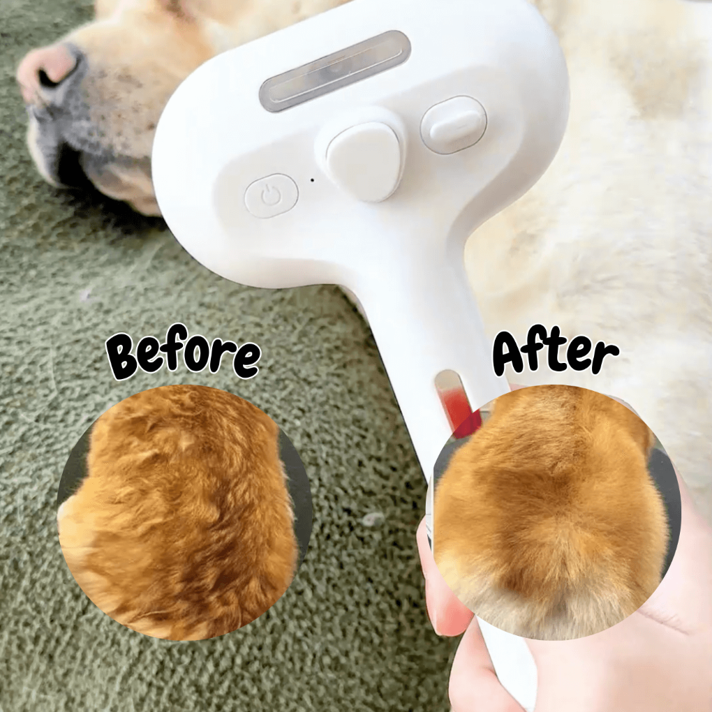 Brosse à vapeur BrushPaw pour chiens