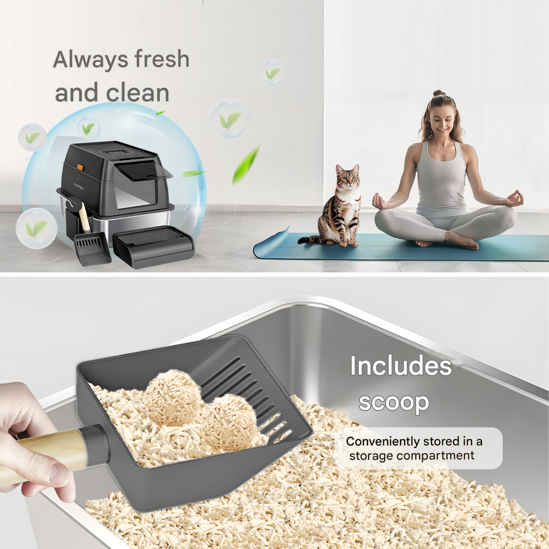 Base de litière pour chat en acier inoxydable