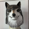 Masque de Loup Réaliste