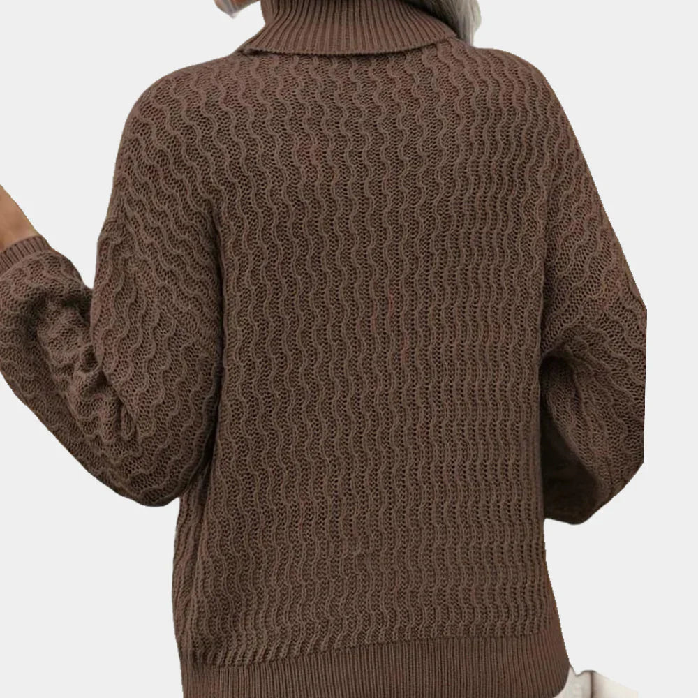Pull Col Roulé Classique Argyle