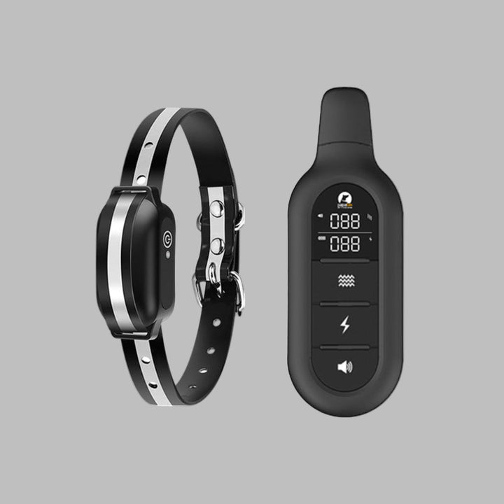 Collier de formation pour chien électrique avec télécommande