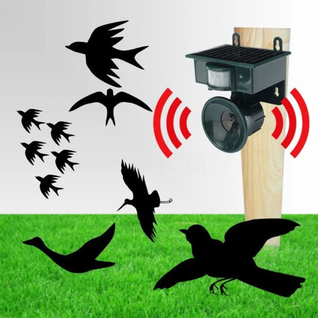 Repulsif et Effaroucheur d'Oiseaux à Capteur de Mouvement Premium