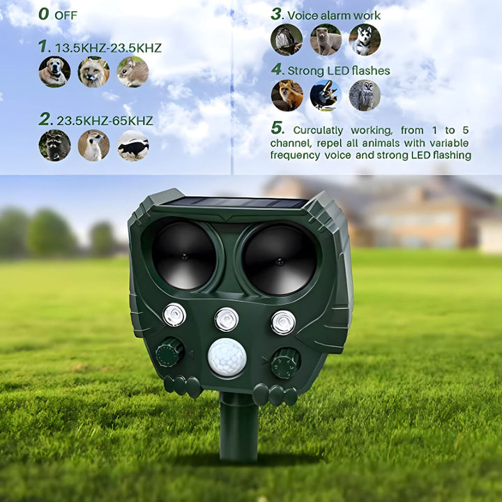 Repulsif Ultrasonique pour Chats, Chiens, Renards et Rats