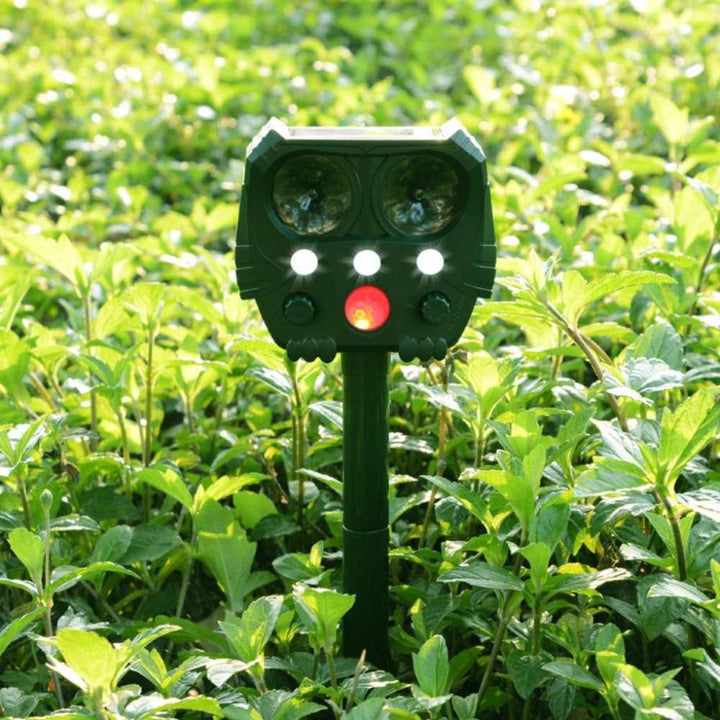 Repulsif Ultrasonique pour Chats, Chiens, Renards et Rats