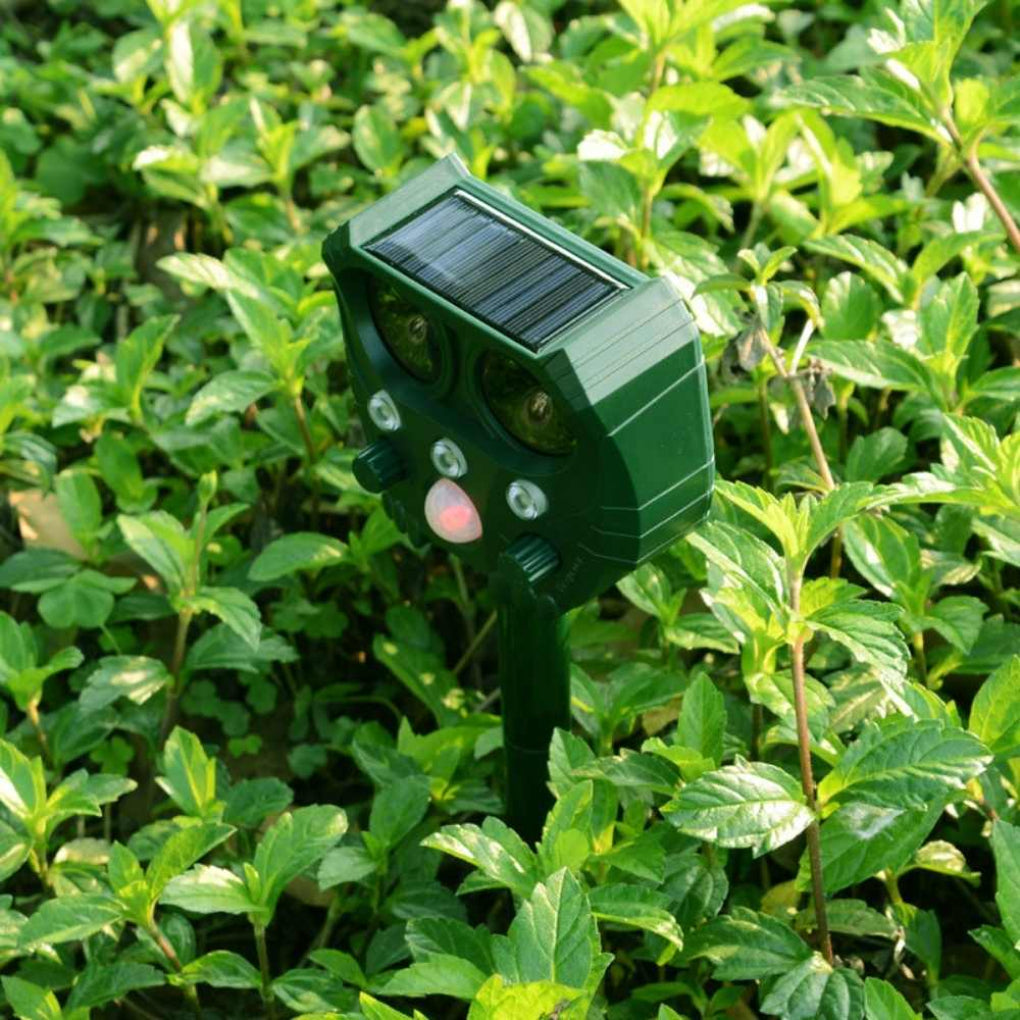 Repulsif Ultrasonique pour Chats, Chiens, Renards et Rats