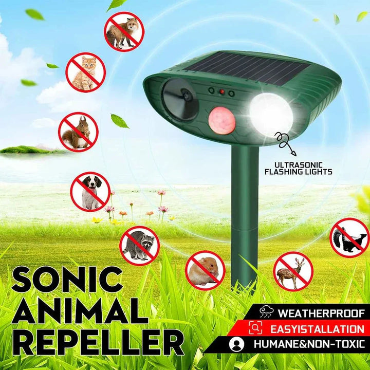 Repulsif Sciuridé Ultrasonique et Solaire