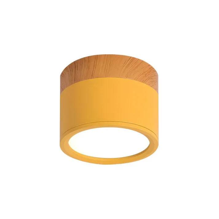 LumiStyle - Éclairage Plafonnier Cylindrique LED pour Couloir Modern