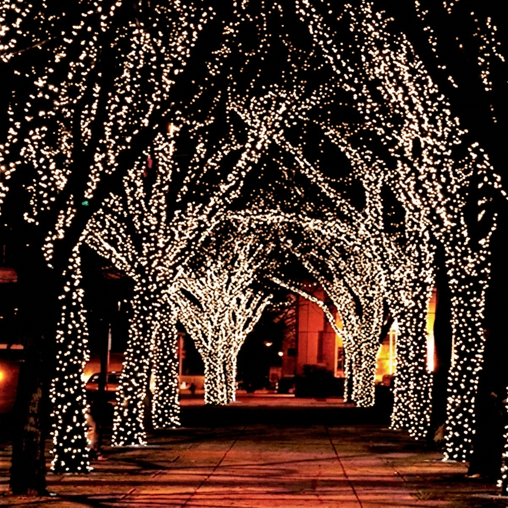 Guirlande de lumières féeriques LED 100 de 17 M