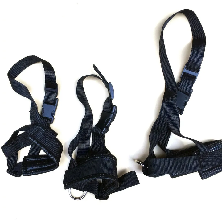 Muselière pour chien ajustable et sécurisée