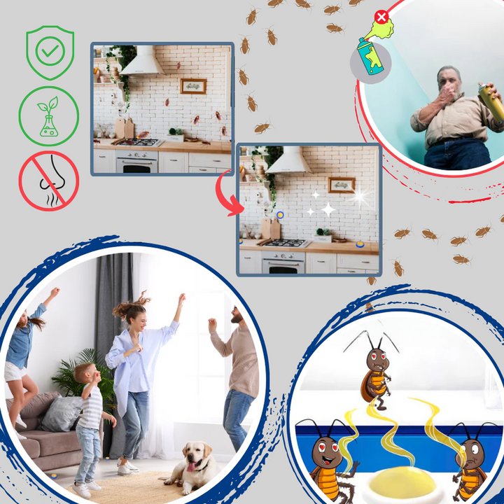 Pièges à Cafards Sans Odeur – Solution de Contrôle des Nuisibles Discrète